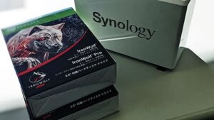 Synology DS220j Seagate IronWolf